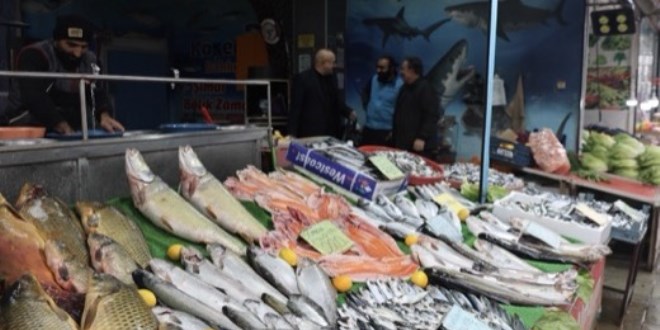 So�uk havalar bal�k tezgahlar�n� hareketlendirdi