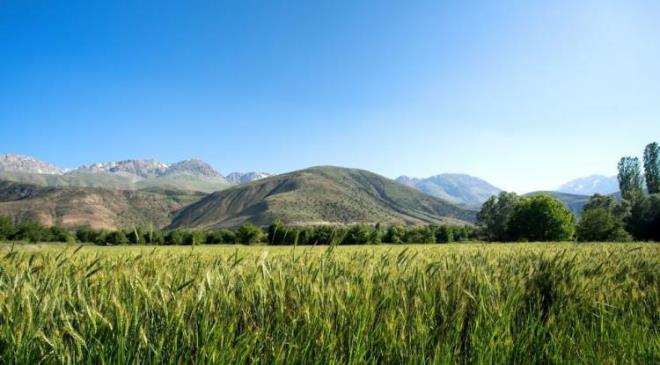 <p><span><strong>8 - ERZ�NCAN</strong></span></p>    <p><strong>T�rkiye'nin nadide �ehirlerinden Erzincan'da ortalama ya�am s�resi 79,6 y�l.</strong></p>    <p><strong>�ehirde, kad�nlar�n ortalama ya�am s�resi 82,3 y�l, erkeklerde ise ortalama ya�am s�resi 76,9 y�l.</strong></p>