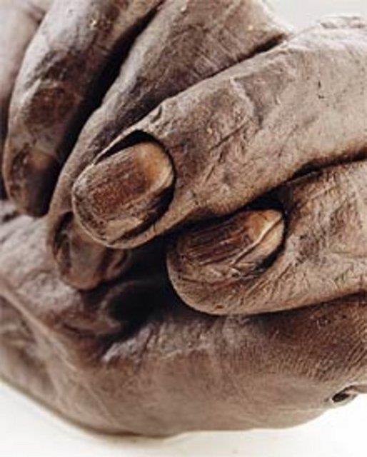 Ayn blgede bulunan 2 dier iskelet de inceleniyor.