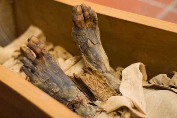 Mumya oksijenle temas edince 1 saatte karard