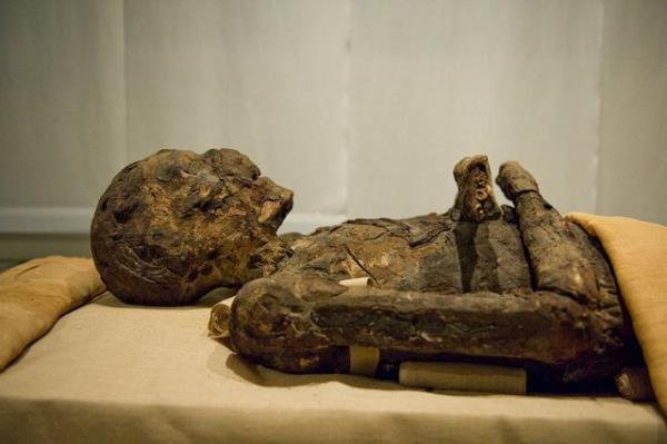 Mumya oksijenle temas edince 1 saatte karard