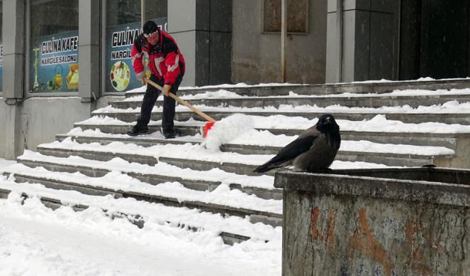 Kars-Sar�kam��