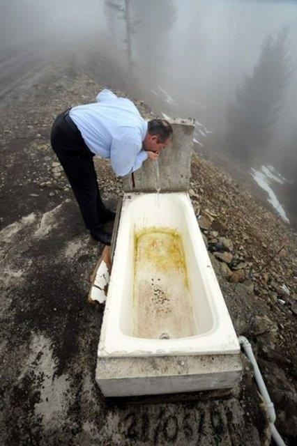 Kvet boa gitmesin demi Karadeniz halk.