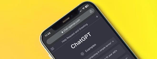 1. Z�RVEN�N HAK�M�: H�ND�STAN (%45)  <br>    Yapay zeka liginin tart��mas�z lideri Hindistan oldu. N�fus yo�unlu�uyla bilinen �lkede ChatGPT kullan�m oran� tam y�zde 45. Hindistan?da ��renciler s�nav haz�rl�klar�nda, giri�imciler ise i� planlar�n� olu�tururken yapay zekay� adeta bir kurtar�c� olarak g�r�yor.