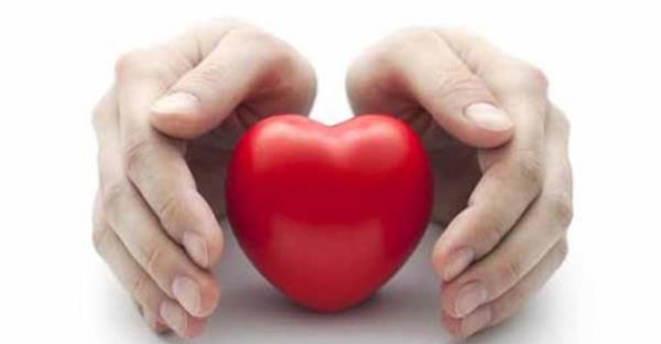 - Et, antikor yapmn artrarak baklk sistemini glendirir.  <p>- Et, inslin ve glukagon gibi hormonlarn ana maddesidir.</p>  - Krmz et, doru piirilirse kolesterol ykseltmez.