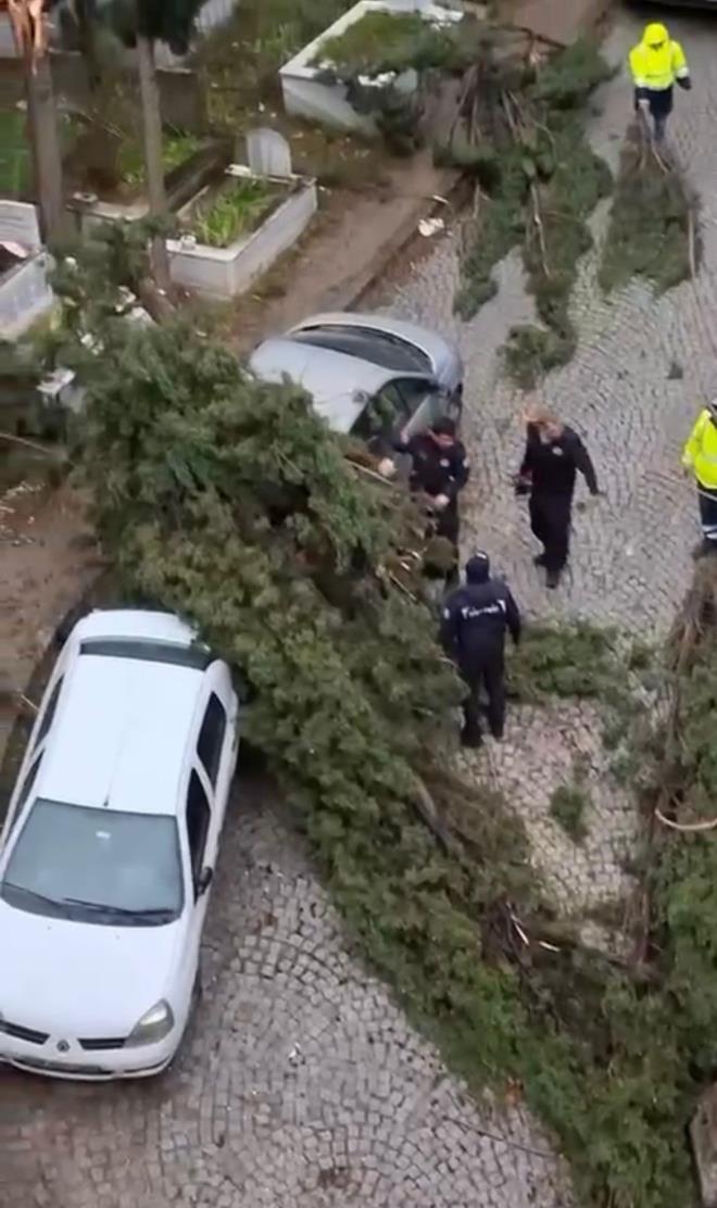 <b data-path-to-node="7" data-index-in-node="0">Emirsultan'da Dev A�a�lar Ara�lar�n �zerine Devrildi</b>  F�rt�nan�n etkisi sadece ula��mda de�il, kentin farkl� noktalar�nda da hissedildi. Emirsultan Mezarl��� yan�nda bulunan a�a�lar �iddetli r�zgara dayanamayarak park halindeki ara�lar�n �zerine devrildi ve maddi hasara yol a�t�.