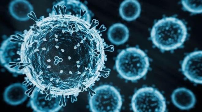 �OCUKLARDA DAHA A�IR SEYRED�YOR  <br>  Konuyla ilgili de�erlendirmede bulunan Dr. ��r. �yesi Abdullah Sert, belirtilerin genel olarak klasik grip semptomlar�yla benzerlik g�sterdi�ini ancak �ocuklarda daha a��r seyredebildi�ini vurgulad�.