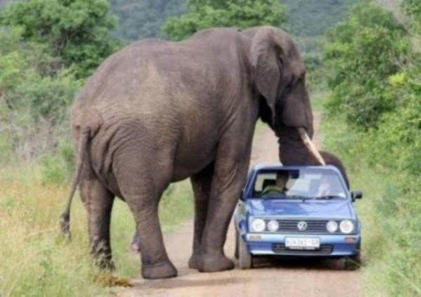 Bu fotoraflar internette ok konuuldu