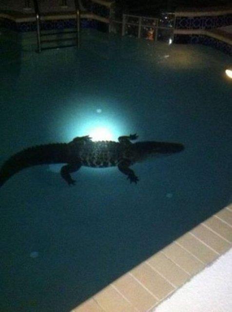 Bu fotoraflar internette ok konuuldu