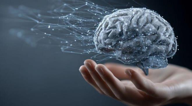 Beyin sa�l���n� korumak ve bili�sel fonksiyonlar� en �st seviyede tutmak i�in zihinsel egzersizlerin faydas� yads�namaz. Ancak n�rolog uzmanlar� ve sinirbilimciler bu noktada g�nl�k beslenme al��kanl�klar�m�z�n da temel bir rol� oldu�una dikkat �ekiyor.