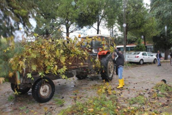 Ky camisi ile civardaki baz otomobiller de zarar grd. Hortum aalar kknden skerek ky meydann sava alanna evirdi.