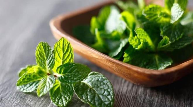 <strong>Tek ba��na da etkili bir besin olan ayran, �zellikle i�ine eklenen bir ka��k kuru nane ile ba��rsak ve sindirim sa�l���na katk� sa�l�yor.&nbsp;</strong>