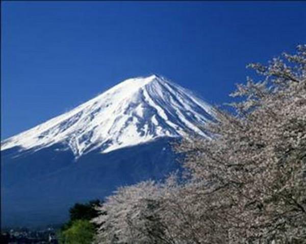 Cinler, periler, hayaletler ve ruhlar dnda normal insanlar iin de bu ormanda yapacak ok ey var.