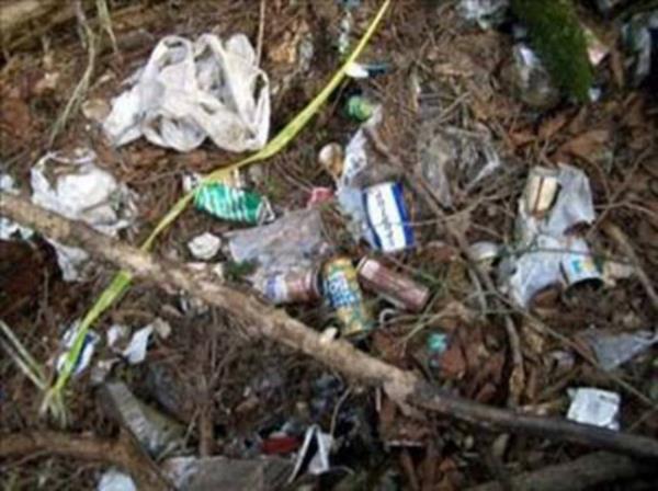 Peki lm seenler neden ille de buray tercih ediyor?