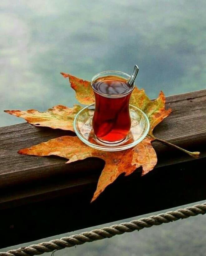 <p>5. MARD�N&nbsp;</p>  <p>4. D�YARBAKIR&nbsp;</p><br>  3. MU�&nbsp;<br>  2. �ANLIURFA<br>