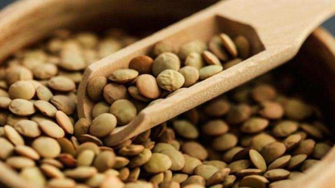 KALP VE DAMAR SA�LI�INI KORUR  <br>  Modern sofralar�n l�ks aray���na inat, sadeli�iyle �ifa da��tan ye�il mercimek, kalp ve damar sa�l���n� korumada da �nemli bir rol �stlenir. Potasyum, magnezyum ve folat a��s�ndan zengin olan bu bakliyat, kan ak���n� rahatlatarak damar�n gev�emesine yard�mc� olur. Ayr�ca kandaki k�t� kolesterol seviyelerini azaltmay� sa�lar.