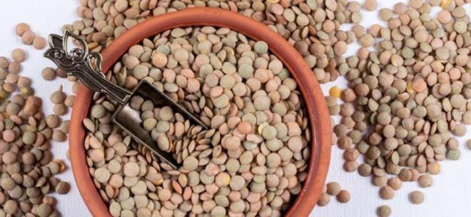 SA�LIK ���N KALKAN OLUR  <br>  G��l� antioksidanlar sayesinde v�cudu serbest radikallere kar�� koruyabilen ye�il mercimek, hastal�klara kar�� kalkan g�revi �stlenir.