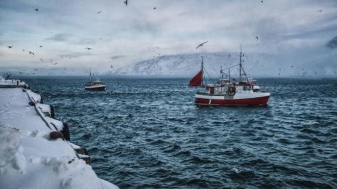 <p><strong>K��� BA�INA EN FAZLA BALIK T�KETEN �LKE: �ZLANDA</strong></p><p>◾Toplam t�ketimde �in lider olsa da, ki�i ba��na bal�k t�ketimi s�z konusu oldu�unda tablo tamamen de�i�iyor.</p><p>◾D�nya N�fus �ncelemesi raporuna g�re bu alanda birincilik �zlanda'ya ait. �in'de ki�i ba��na <strong><span style="background-color:#E6E6FA">y�ll�k bal�k t�ketimi 41,5 kilogram iken, �zlanda'da bu miktar 87,1 kilogram ile bunun iki kat�ndan fazla.</span></strong></p>