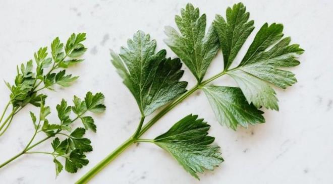 <strong>Ye�il yaprakl� sebzeler, ba����kl�k sistemini destekler ve kemik sa�l���na faydal� etki sunar.</strong>