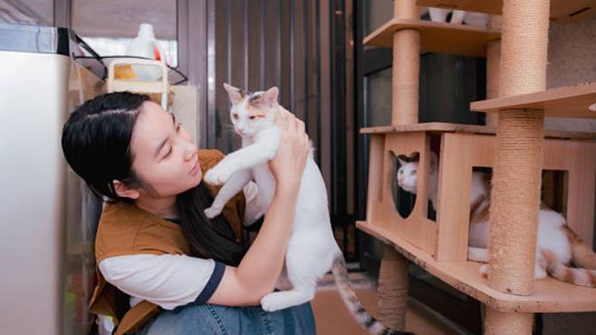 <strong>2) �in: 53,1 milyon</strong>