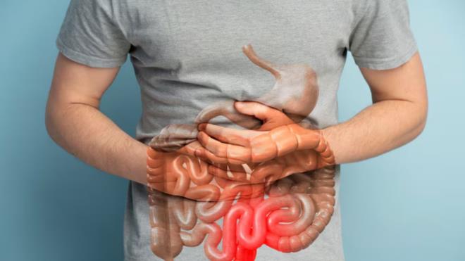 Son y�llarda <strong>"ikinci beyin"</strong> olarak an�lan ba��rsaklar�n genel sa�l�k �zerindeki �nemi daha net anla��l�rken, uzmanlar beslenmenin mikrobiyom dengesinde belirleyici rol oynad���n� vurguluyor. Peki ba��rsak d�zenini etkileyen besinler neler? ��te o 4 yiyecek!