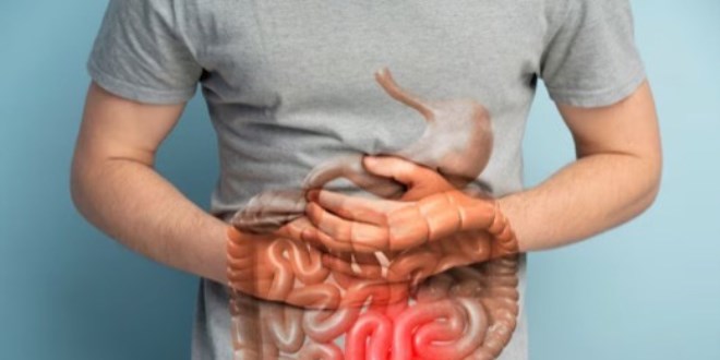 Her g�n yiyoruz ba��rsaklar� sessizce ��kertiyor