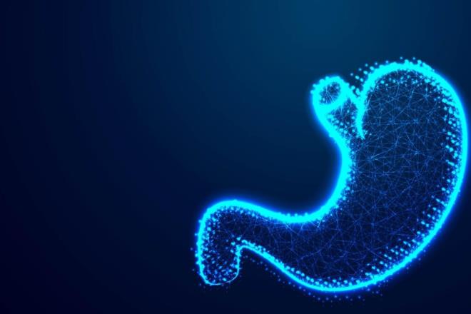 <li><p><strong>🥗 Fonksiyonel Salata Sosu:</strong> Zeytinya��, limon ve 1 tatl� ka���� chia tohumunu kar��t�r�p salatan�za d�k�n. Ara�t�rmada belirtilen "chia ya��" etkisini do�al yoldan sa�lar ve tokluk s�resini uzat�r.</p></li><li><p><strong>🍳 Protein Destekli Chia Omleti:</strong> Yumurtay� ��rparken i�ine 1 �ay ka���� chia unu veya tohumu ekleyin. Bu y�ntem, kan �ekerini dengeleyerek leptin direncinin k�r�lmas�na yard�mc� olur.</p></li>