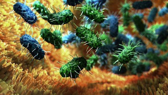 Ba����kl��� zay�f ki�iler i�in tehlike daha b�y�k<p>    Antibiyotiklere diren�li bakterilerin herkes i�in �nemli bir risk olu�turdu�unu s�yleyen �etinkaya, ?S�k ve gereksiz antibiyotik kullanan ki�iler fark�nda olmadan kendi v�cutlar�nda diren�li bakterilerin geli�mesine zemin haz�rlarlar. Bu diren�li bakteriler temas, eller, g�dalar ve yak�n �evre yoluyla ba�kalar�na da ge�ebilir. Ba�ta kendi yak�nlar� olmak �zere ba����kl�k sistemi zay�f olan ki�iler, diren�li enfeksiyonlara kar�� daha savunmas�zd�r. �zellikle dikkat edilmesi gereken bireylere; ya�l�lar, bebekler, kanser tedavisi g�renler ve kronik hastal��� olanlar �rnek verilebilir? �eklinde konu�tu.