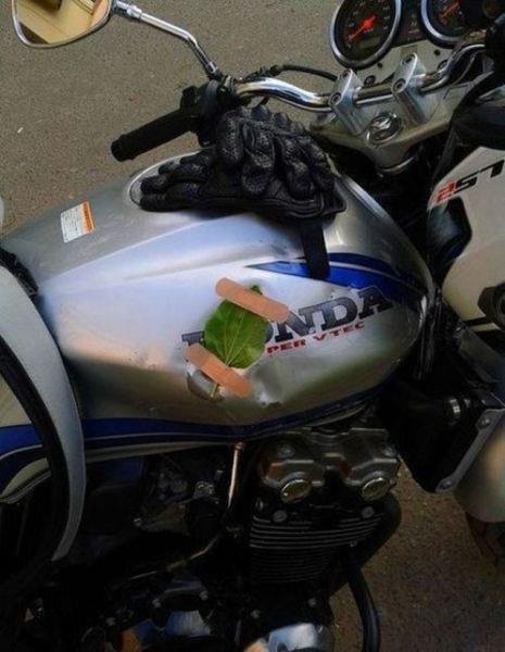 Bazlar da var ki, karlatklar bu trden problemleri, doalama zmlerle 'pratik' ama devaml olmayan biimlerde gideriyor. Bu kiilerin internette paylatklar fotoraflar da tklanma rekoru kryor.