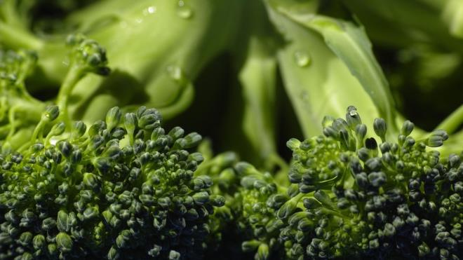 <h3><strong>3. Boraks Banyosu</strong></h3><p>2023'te sosyal medyada yay�lan boraks banyosu trendi a��r metalleri ve toksinleri v�cuttan att���n� iddia ediyor. Oysa boraks�n yutulmas� mide-ba��rsak hasar� b�brek yetmezli�i ve �l�mle sonu�lanabiliyor. <strong>Ciltle temas�nda ise d�k�nt�, ka��nt� ve ciddi tahri� riski bulunuyor.</strong></p><h3><strong>4. Aktif K�m�r Detoksu</strong></h3><p>Zehirlenme vakalar�nda kullan�lan aktif k�m�r, bir d�nem detoks i�eceklerinin vazge�ilmezi haline geldi. Ancak k�m�r yaln�zca toksinleri de�il vitaminleri, mineralleri ve ila�lar� da emebiliyor. Uzmanlar, bilin�siz kullan�m�n uzun vadede ciddi besin eksikliklerine yol a�abilece�ini vurguluyor.</p>