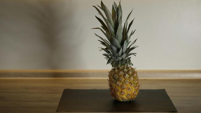 <p><strong>5. Cilt ya�lanmas�na kar�� koruma sa�layabilir</strong></p><p>🍍Ananastaki C vitamini, kolajen �retimini destekleyerek cildin daha s�k� ve canl� g�r�nmesine katk� sa�layabilir.</p><p>🍍Ayn� zamanda UV ���nlar�n�n neden oldu�u oksidatif hasara kar�� antioksidan koruma sunarak k�r���kl�k ve kuruluk gibi ya�lanma belirtilerinin azalmas�na yard�mc� olabilir.</p>