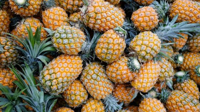 <p><strong>4. Beyin sa�l���n� koruyabilir</strong></p><p>🍍Bromelain �zerine yap�lan laboratuvar �al��malar�, bu enzimin Alzheimer hastal���yla ili�kili baz� zararl� proteinleri par�alayabildi�ini ortaya koymu�tur.</p><p>🍍Bu durum, ananas�n beyin sa�l��� a��s�ndan potansiyel faydalar� olabilece�ine i�aret etse de, insanlarda yap�lacak klinik �al��malara ihtiya� vard�r.</p>