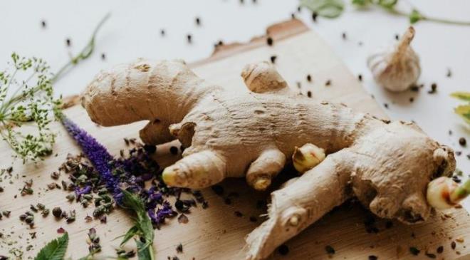 <strong>Akci�erlere giden kan ak���n� art�rarak dokular�n daha fazla oksijen almas�na olanak tan�yan zencefil, bron�lar�n temizlenmesi i�in bireb�r etki sunar.</strong>