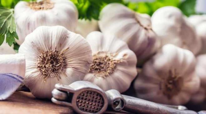 <p><span><strong>OLMAZSA OLMAZ: SARIMSAK&nbsp;</strong></span></p>    <p><strong>Uzmanlara g�re; akci�erlerin korunmas�nda en etkili besinlerin ba��nda 'sar�msak' geliyor.&nbsp;</strong></p>