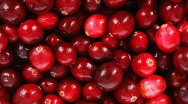 <strong>�zellikle, idrar yolu enfeksiyonlar�na neden olan bakterilerin mesane duvar�na yap��mas�n� �nleyen bile�ikler i�eren k�z�lc�k, b�brek sa�l��� i�in olduk�a faydal�d�r.</strong>