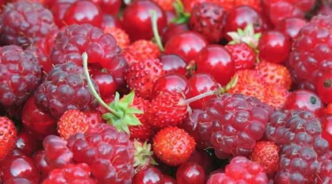 <p><span><strong>KIRMIZI MEYVELER</strong></span></p>    <p><strong>Y�ksek antioksidan kapasiteleriyle �n plana ��kan k�rm�z� meyveler, b�brek sa�l��� i�in olmazsa olmaz bir etki sunuyor. �eker oranlar� d���k olan bu e�siz lezzetler, hem sa�l���z� korur hem de tad�yla ���nlerinize renk getirir.</strong></p>