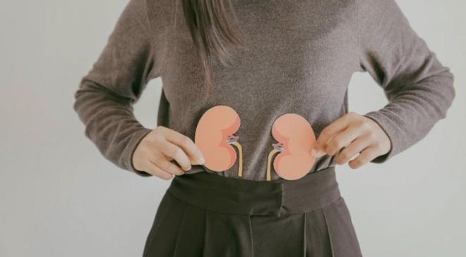 <strong>Bu noktada beslenme rutininin �nemi ortaya ��k�yor. Baz� besinleri hayat�m�za dahil ederek b�breklerimizin y�k�n� hafifletebilir ve sa�l���m�z� koruyabiliriz. <em>��te, o e�siz besinler...</em></strong>