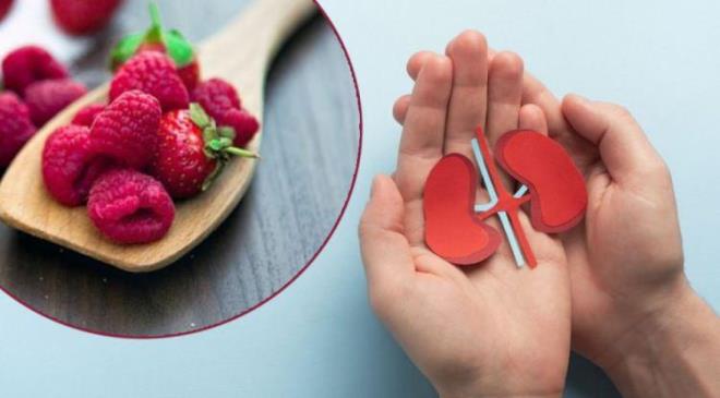 <span><em><strong>Her g�n yakla��k 200 litre kan s�zerek v�cudumuzu at�klardan ar�nd�ran ve kemiklerimizden kan h�crelerimize kadar pek �ok sistemi y�neten b�breklerimizin sa�l���n� korumak �ok �nemli. Beslenme rutinimize baz� g�dalar� dahil ederek b�brek sa�l���m�z� koruyabilir ve her bir lokmada ya�am kalitemizi y�kseltebiliriz.</strong></em></span>