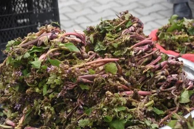 <p>Do�al ortamda yeti�en ve �zellikle bahar aylar�nda toplanan z�lb�t otu, sabah�n erken saatlerinde k�ylerden toplanarak pazara getiriliyor.</p><p>&nbsp;</p><p>Kendine has aromas� ve lezzetiyle �n yapan z�lb�t, Sinop'ta k�yl� pazar�nda vatanda�lardan yo�un ilgi g�r�yor. Vitamin ve mineral bak�m�ndan zengin oldu�u belirtilen, so�anl� yumurtal� yeme�ini yap�lan z�lb�t�n bitmek bilmeyen faydalar� da lezzetine lezzet kat�yor.</p>