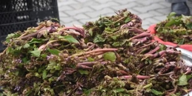 Pazara indi, eskiden askerlere cesaret veriyormu�