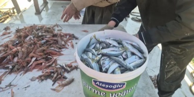 Kasalarla limana d�nd�ler taze taze sat�yorlar.