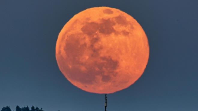 <p><strong>AY NEDEN KIZIL RENK ALIR?</strong></p><p>Tam tutulma s�ras�nda Ay tamamen karanl��a g�m�lmez. Aksine bak�r ve k�z�l tonlarda parlayarak dikkat �ekici bir g�r�n�me kavu�ur. <span style="background-color:#FAEBD7">Bunun temel nedeni D�nya'n�n atmosferidir.</span></p><p>Atmosfer, G�ne�'ten gelen mavi ����� b�y�k �l��de da��t�r; bu nedenle g�ky�z� mavi g�r�n�r. K�rm�z� ve turuncu dalga boylar� ise atmosferden daha kolay ge�er. D�nya'n�n �evresinden k�r�larak y�n de�i�tiren bu k�z�l ���nlar Ay'�n y�zeyine ula��r.</p><p>Ortaya ��kan manzara, g�ky�z�nde k�z�l bir k�reyi and�r�r.<strong>"Kanl� Ay"</strong>ifadesi de tam olarak bu etkileyici g�r�nt�den do�ar.</p>