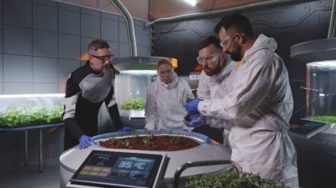 <p><strong>B�L�M �NSANLARI AY TOPRA�INDA NOHUT YET��T�RMEY� BA�ARDI</strong></p><p>Bilim insanlar�, sim�le edilmi� Ay topra��nda nohut yeti�tirerek gelecekte Ay'da g�rev yapacak astronotlar�n kendi g�dalar�n� �retme ihtimaline dair �nemli bir ad�m att�. Ara�t�rma, uzun s�reli Ay g�revlerinde astronotlar�n taze g�da �retip �retemeyece�ine ili�kin sorulara yeni bir perspektif sunuyor.</p><p>ABD'deki Texas �niversitesi Austin kamp�s�nde y�r�t�len �al��ma, Ay topra��n� taklit eden bir ortamda nohut yeti�tirmenin m�mk�n oldu�unu ortaya koydu. Texas A&amp;M �niversitesi ara�t�rmac�lar�yla birlikte ger�ekle�tirilen �al��ma, 5 Mart'ta Scientific Reports dergisinde yay�mland�.</p>