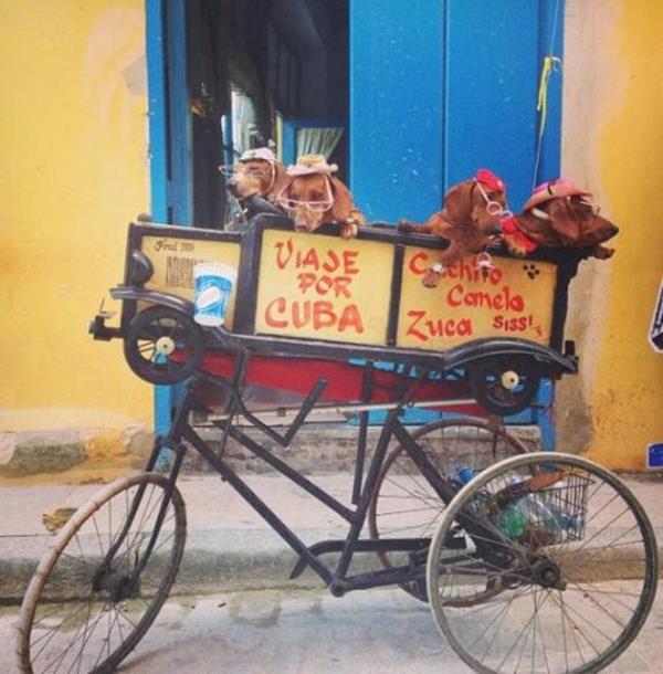 Aye zylmazel, tatil iin Kba'y tercih etti.