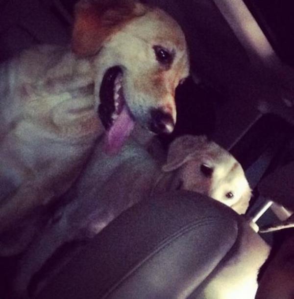 Evrim Akn- "Ankara yolcular hazr."