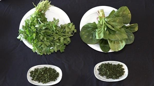 <p><span><strong>AMAN D�KKAT: FISTIK YER�NE ���T�LM�� MAYDONOZ!</strong></span></p>    <p><strong>Bunlar�n nas�l verildi�ini art�k bir�o�umuz ��rendi. F�st�k yerine ���t�lm�� maydanoz, �spanak veya g�da boyas� ile boyanm�� yer f�st��� koyuluyor. Bu hilebazlar, bir k�sm�na 1.100 lira kilosu olan f�st�ktan katarken, bir k�sm�na ise dedi�imiz gibi �spanak, maydanoz ve yer f�st��� koyuyor. Bir kilo f�st��a, 3 kilo bu di�er yan �r�nlerden koyuldu�unda baklavay� 200-500 liraya da satsan�z kurtar�r" a��klamas�nda bulundu.</strong></p>