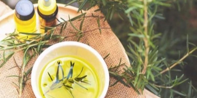 Bu bitki haf�zay� inan�lmaz keskinle�tiriyor