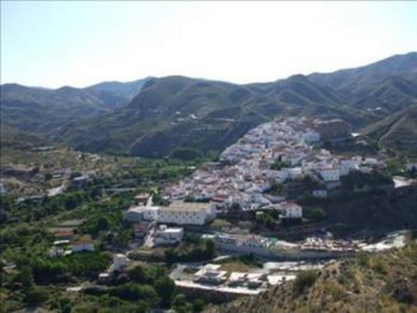 Bunu duyan spanya'nn gneyinde ufak bir kasaba olan Lijar'n Belediye Bakan Don Miguel Garcia Saez, Fransa'ya kar sava at.