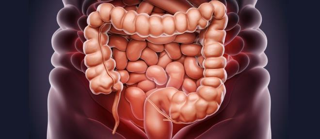 <p><strong>K�LO KAYBINDA L�F�N ETK�S�: SAYILARLA GER�EKLER</strong></p><p>Bardwell'in klini�indeki bir vaka �al��mas�, lifin g�c�n� somut bir �ekilde ortaya koyuyor. Rafine karbonhidrat a��rl�kl� beslenen bir dan��an, sadece baklagil, sebze ve tohum takviyesiyle bir ayda <strong>2,7 kilogram</strong> kaybetti.</p><table style="font-family:google sans text,sans-serif !important;line-height:1.15 !important;margin-bottom:32px;margin-top:0 !important"><thead><tr><td><strong>Besin Grubu</strong></td><td><strong>Geleneksel Tercih (D���k Lif)</strong></td><td><strong>Lif Zengini Alternatif (Y�ksek Lif)</strong></td></tr></thead><tbody><tr><td><span><strong>Ekmek</strong></span></td><td><span>Beyaz Ekmek</span></td><td><span>�ekirdekli / Tam Tah�ll� Ekmek</span></td></tr><tr><td><span><strong>At��t�rmal�k</strong></span></td><td><span>Cips / Bisk�vi</span></td><td><span>Patlam�� M�s�r / Kavrulmu� Nohut</span></td></tr><tr><td><span><strong>Makarna</strong></span></td><td><span>Beyaz Unlu Makarna</span></td><td><span>Mercimek veya Nohut Makarnas�</span></td></tr><tr><td><span><strong>Pirin�</strong></span></td><td><span>Klasik Beyaz Pirin�</span></td><td><span>Esmer Pirin� veya Gre�ka</span></td></tr></tbody></table>