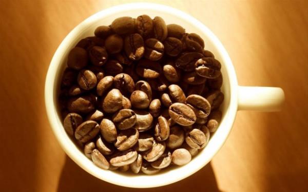 <p><b>1989-Newsweek</b></p>  Ksrla yol aan en son pheli: Kafein